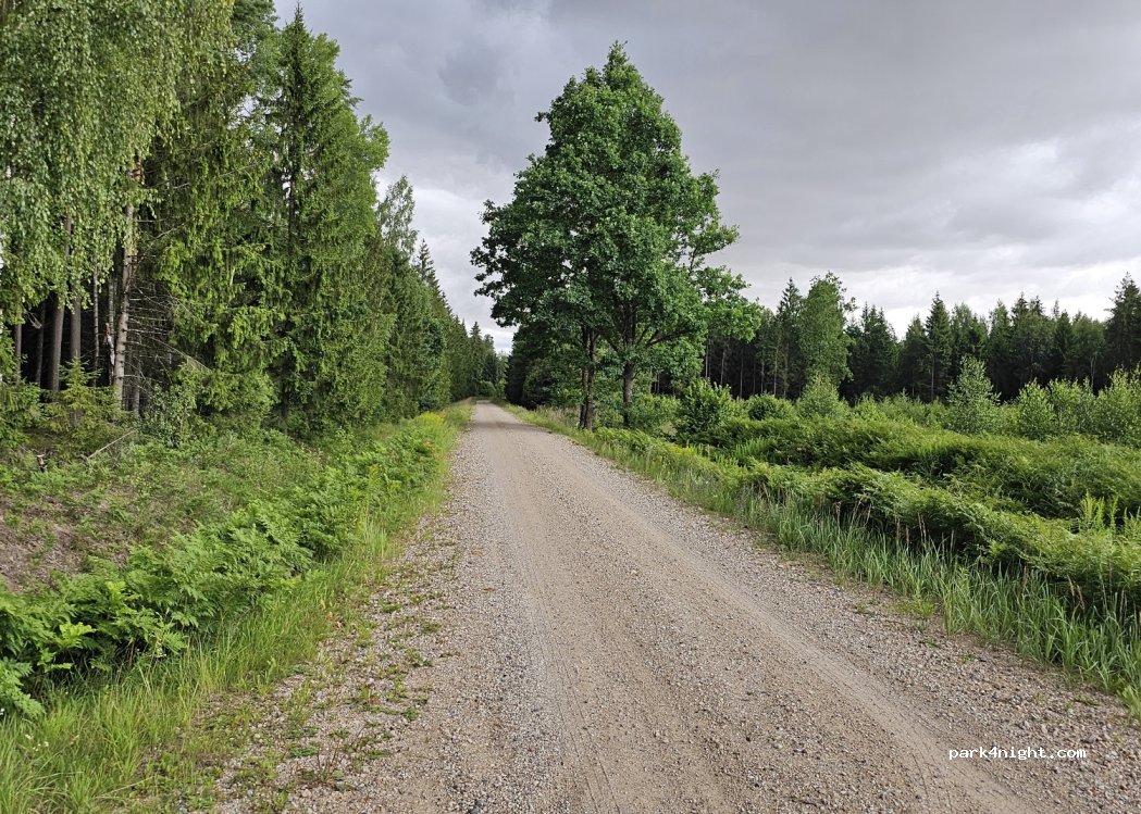 (3023) Eleja - Unnamed Road — foto 3