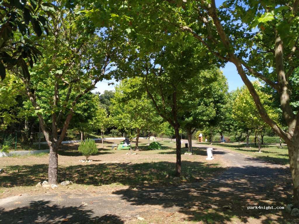 Parque Municipal de Campismo de Arganil — foto