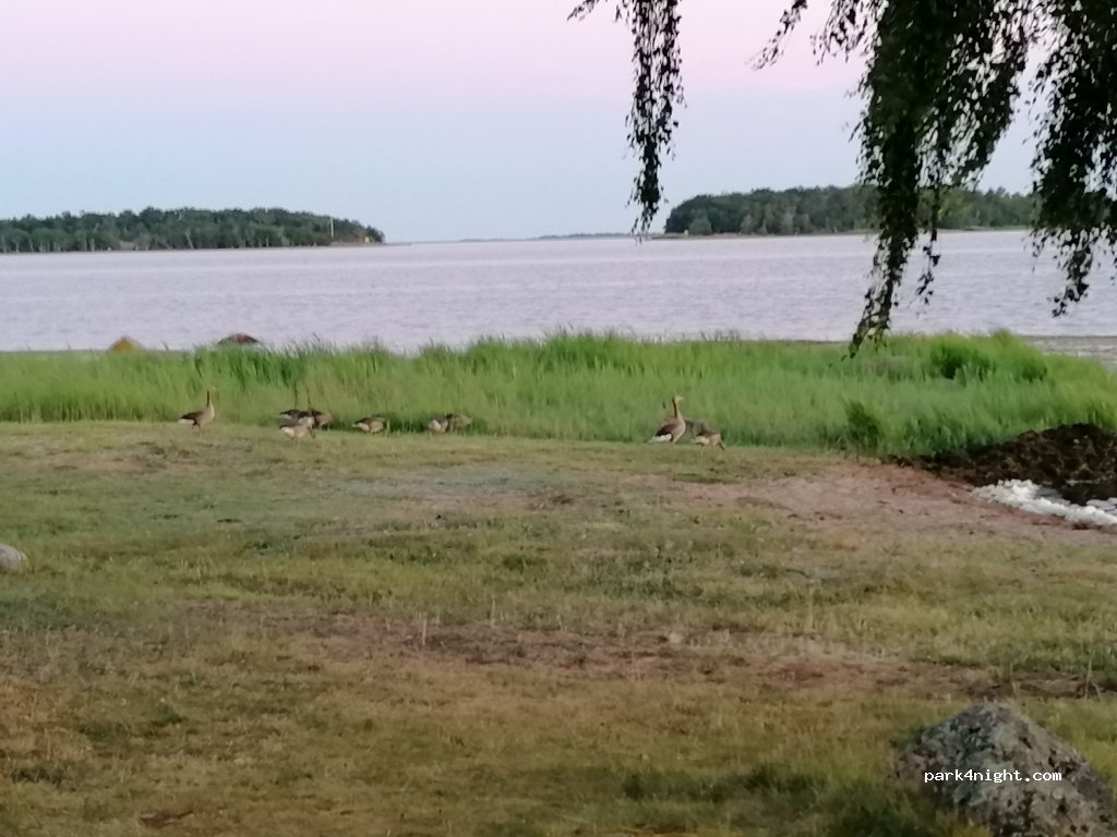 (370 24) Nättraby - 25 Skavkullavägen — foto