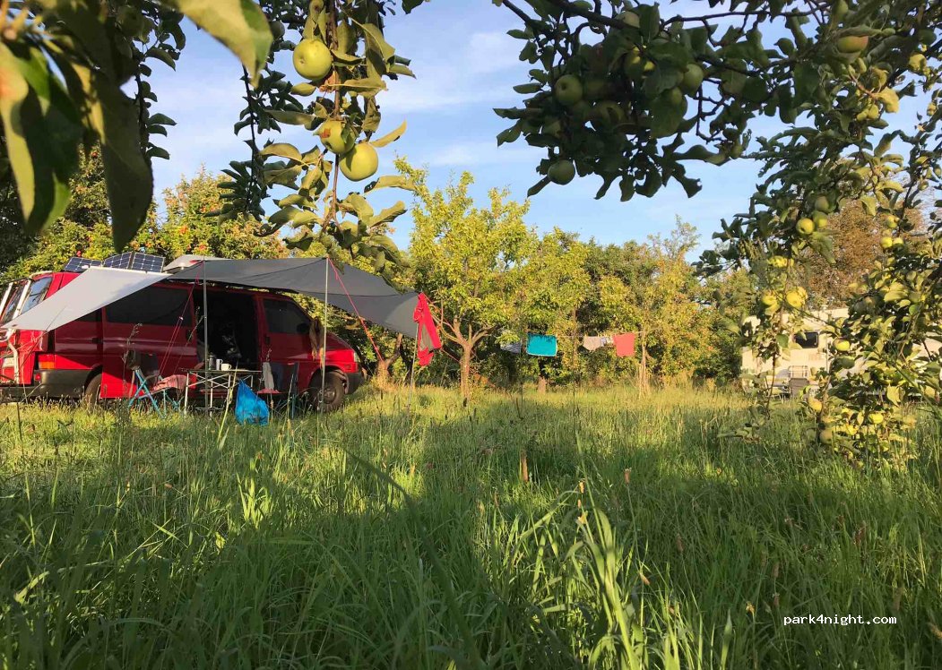 Naturcamping / Zelt und Stellplätze — foto