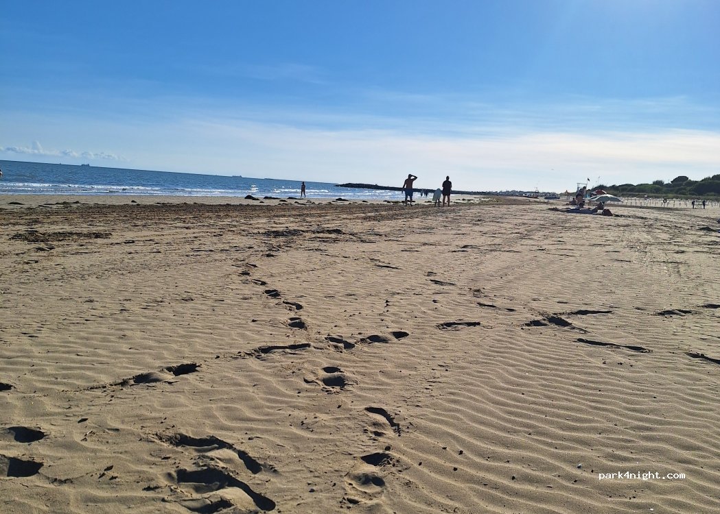 Camping Al Boschetto — foto 5