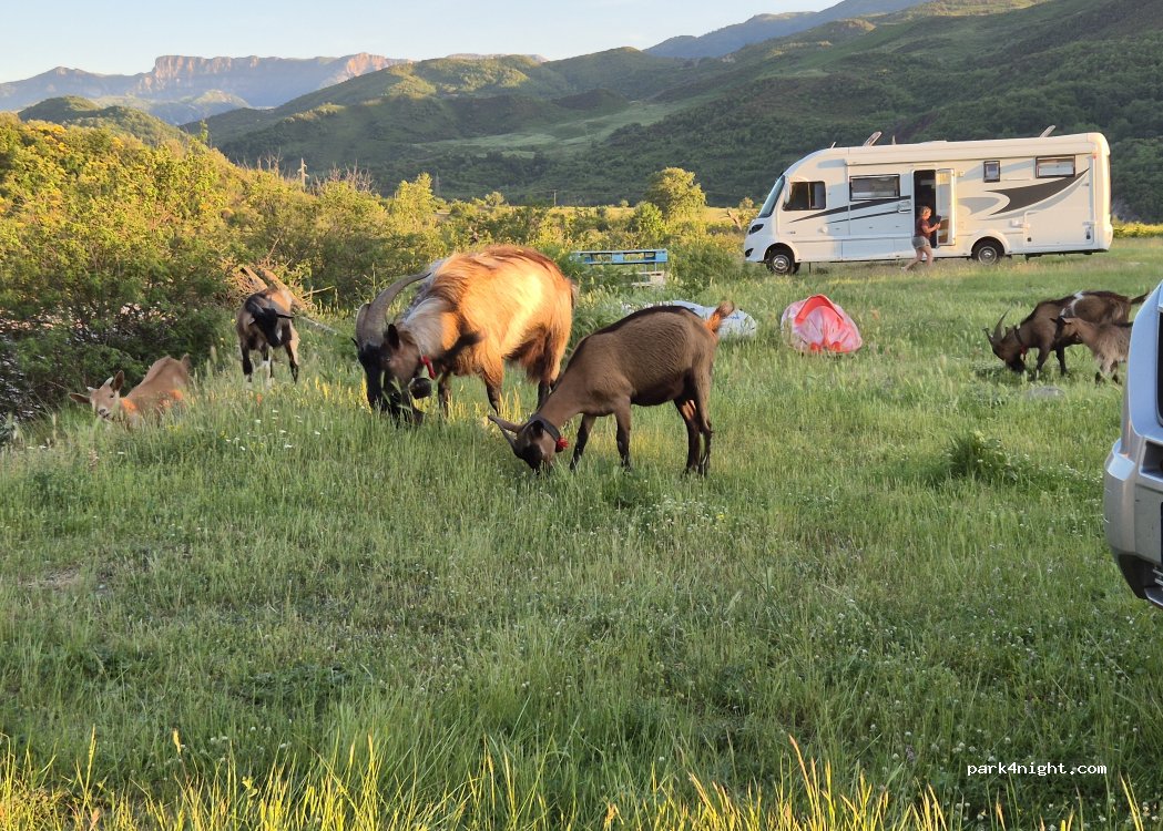 Bujtina Vojsa Camping — foto 5