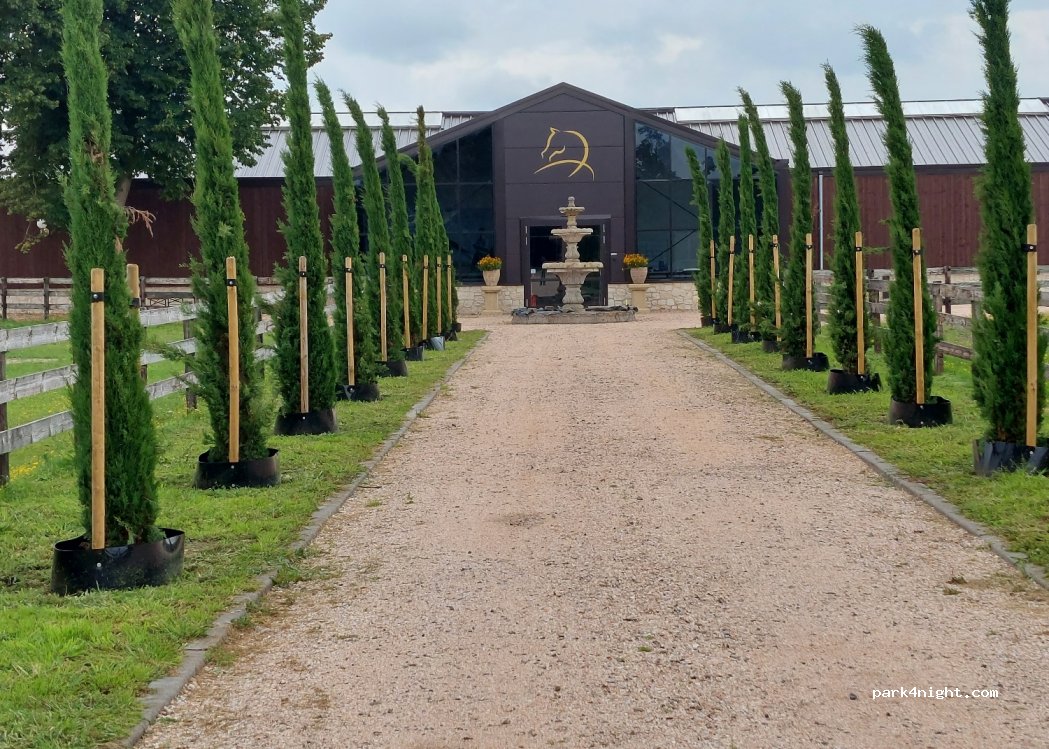Bembom Hoeve — foto 4