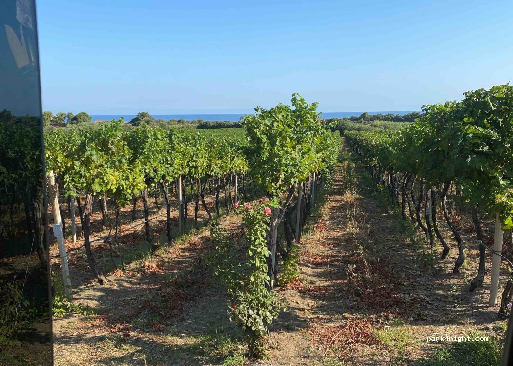 Cantina Ligios - Winery — foto 2
