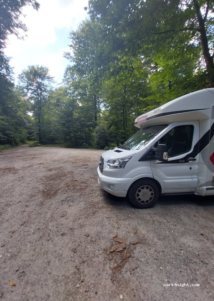 (24816) Brinjahe - B77 — foto 3