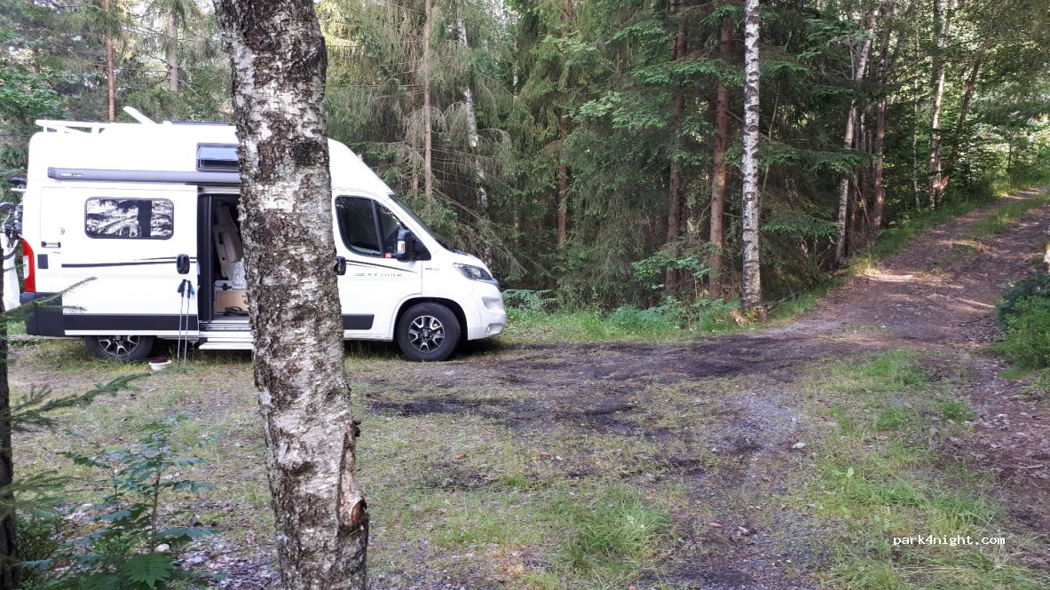 (4990)  - Primær Fylkesveg 351 — foto