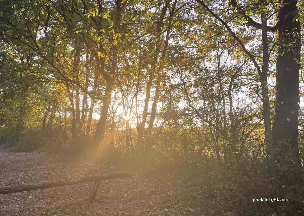 Camping du Bois Fleuri — foto 4