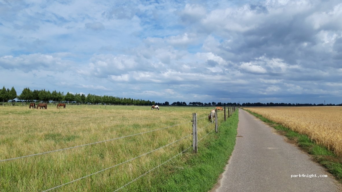 Bauernhof Familie Kamp — foto 2