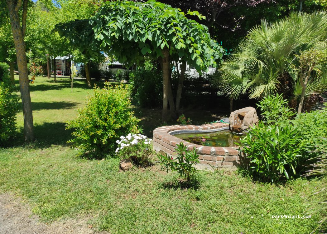 camping Tobacco Road — foto 4