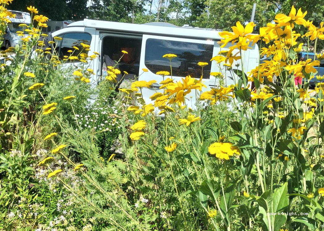 Wohnmobilstellplatz P2a Mönchsrother Straße — foto 5