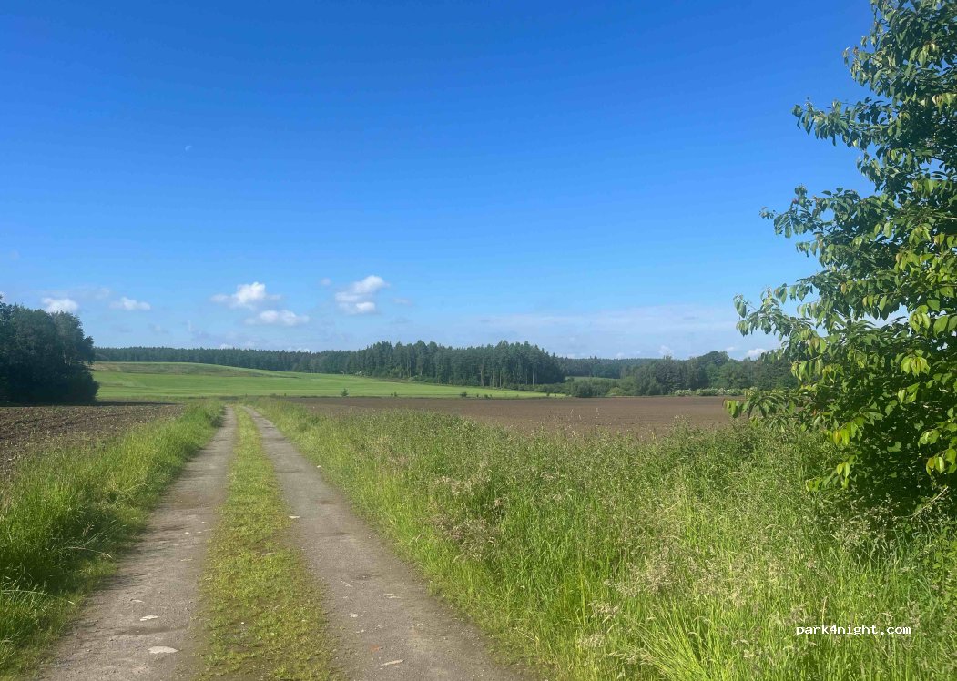 (49577) Ankum - 41 Ziegeleiweg — foto 4