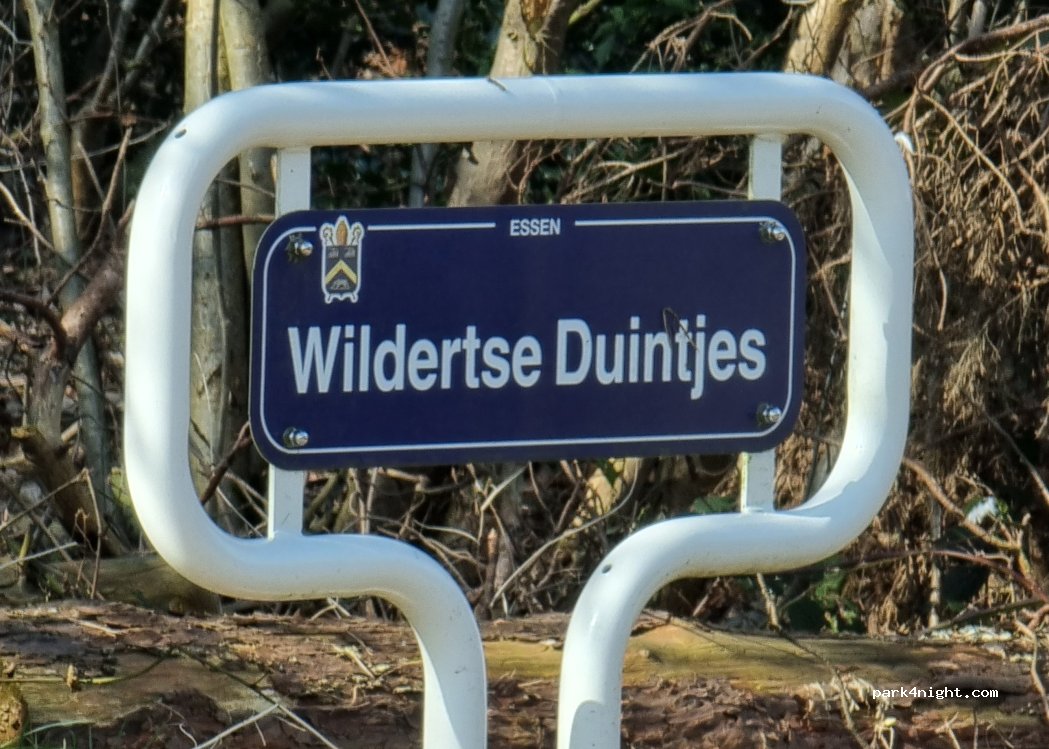 (2910) Essen - 11 Wildertse Duintjes — foto 5