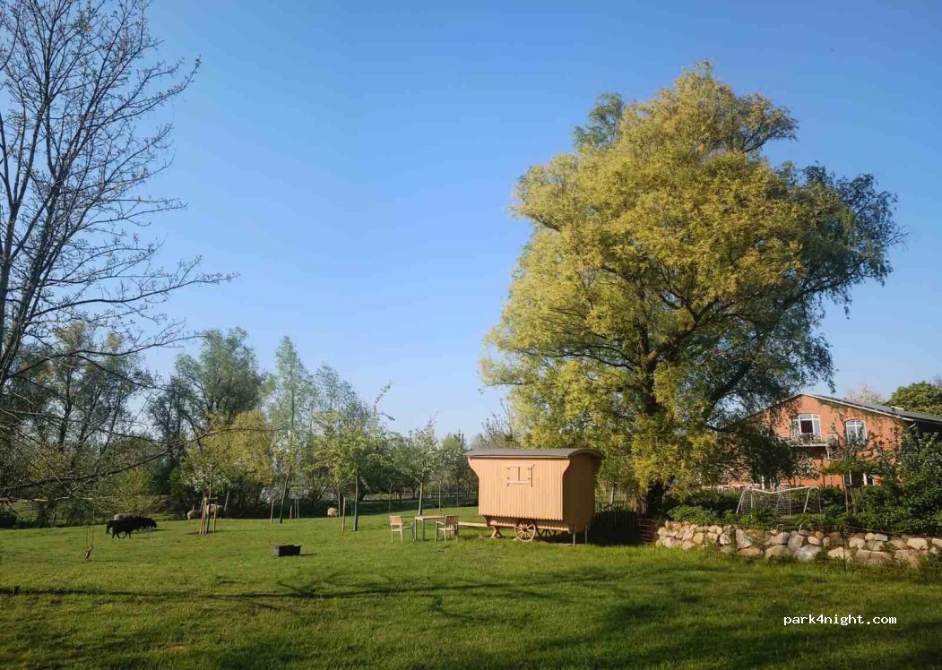(18574) Gustow - Saalkow — foto 4