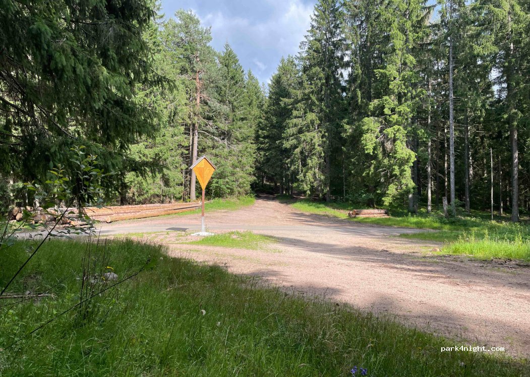 (78120) Furtwangen im Schwarzwald - Unnamed Road — foto