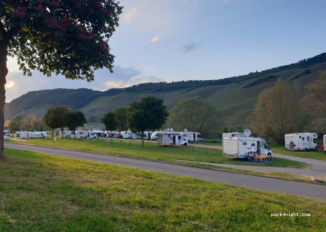 Wohnmobilstellplatz im Moselort Lösnich — foto 2