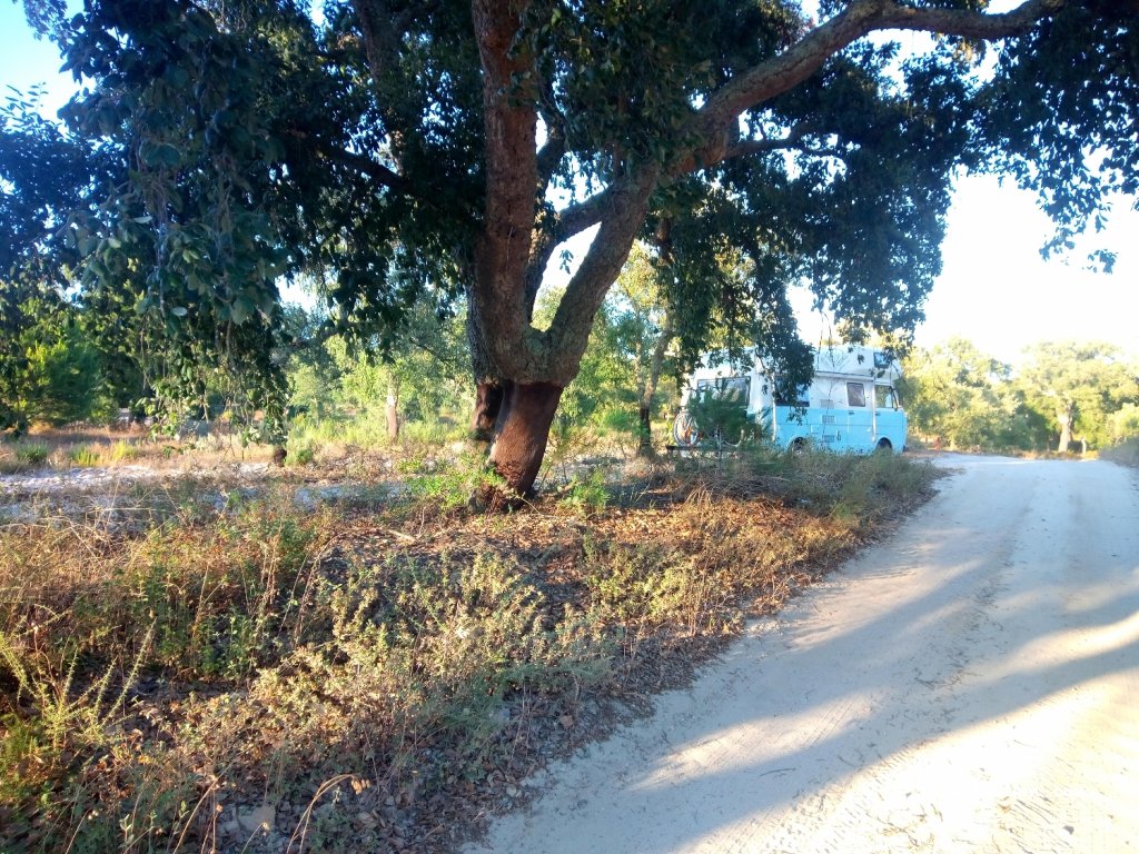 (2910) Gambia - Estrada Principal — foto