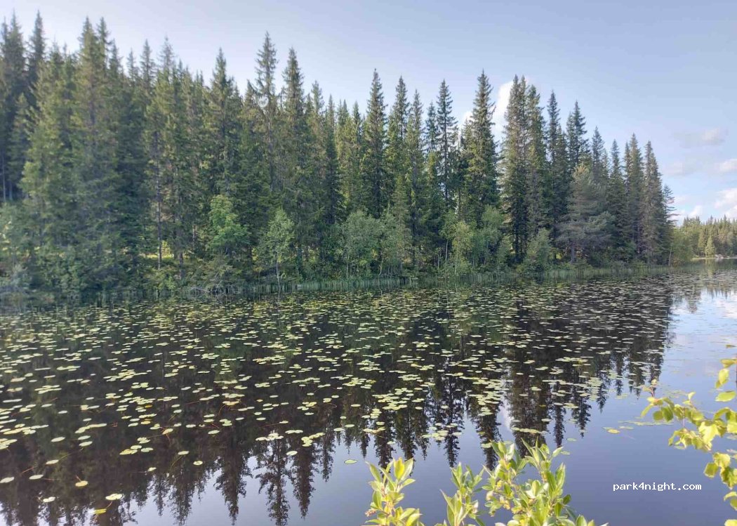 (2616) Lismarka - Unnamed Road — foto 2