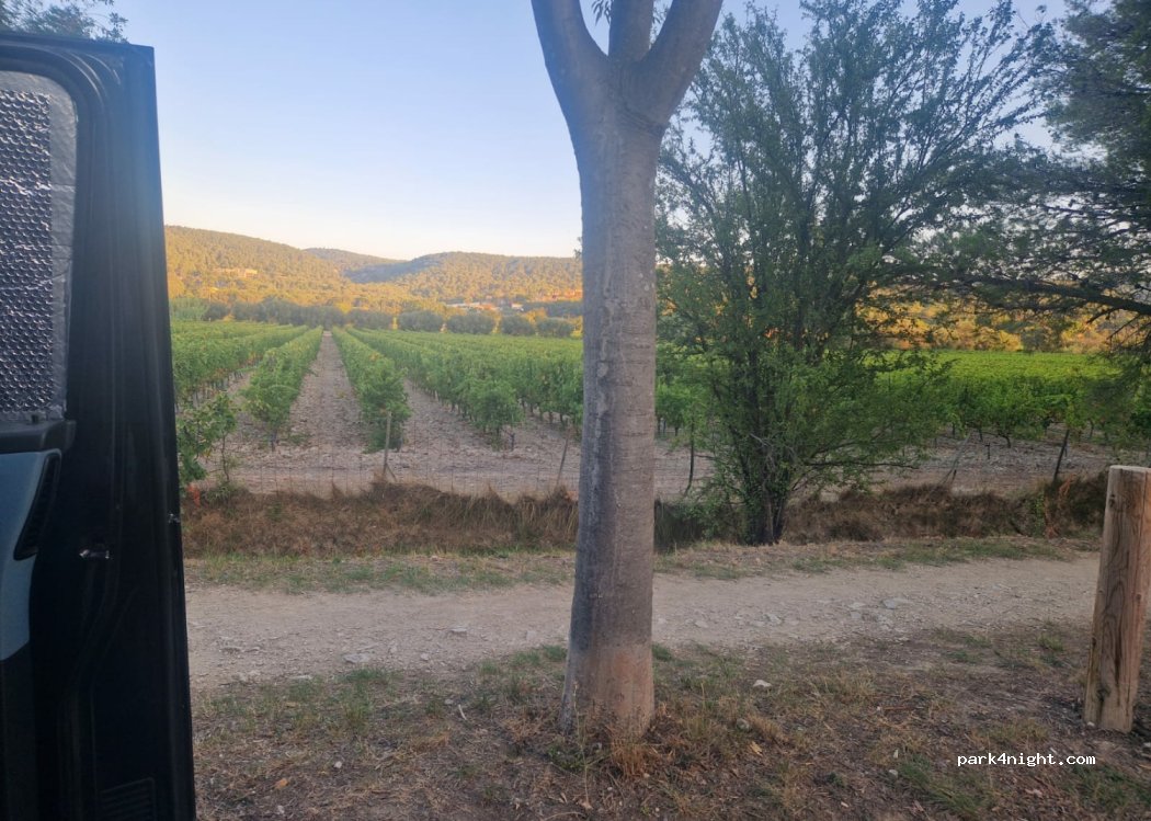 (13260) Cassis - Avenue des Albizzi — foto 3