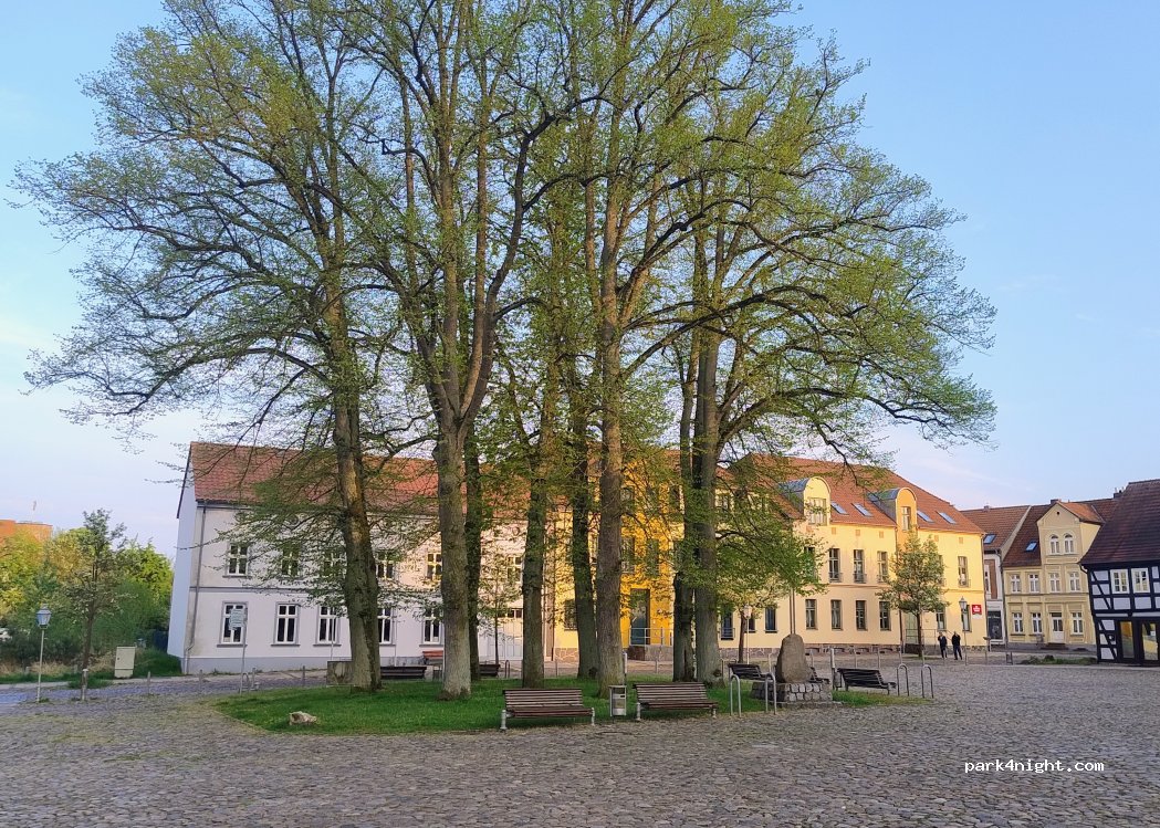 (17255) Wesenberg - 1 Bresebrink — foto 3