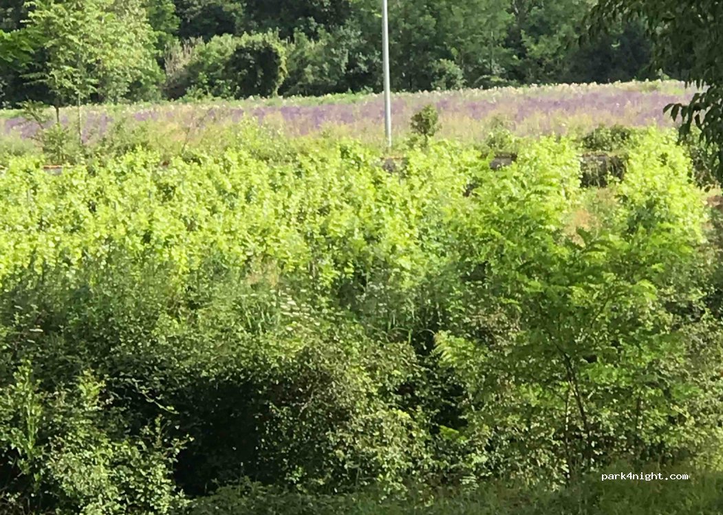 Camping le Micocoulier — foto 3