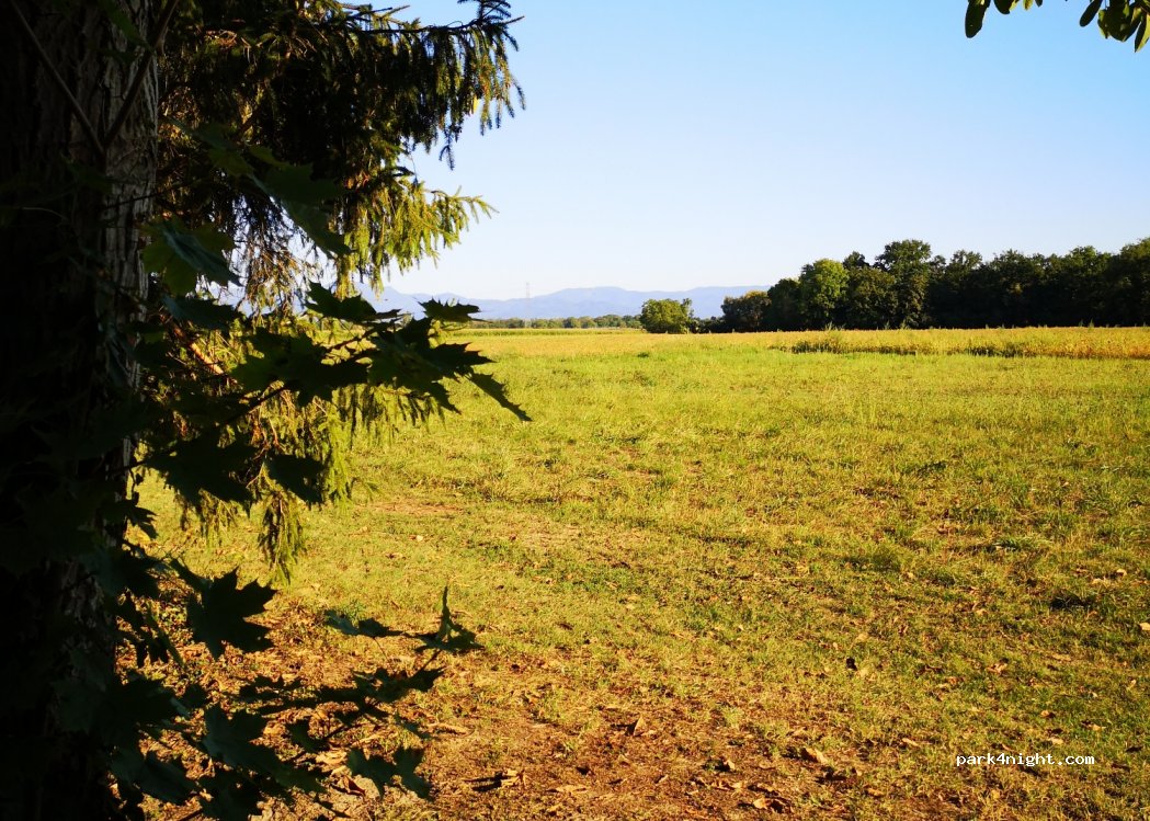 Camping l’Oree du Bois — foto 4