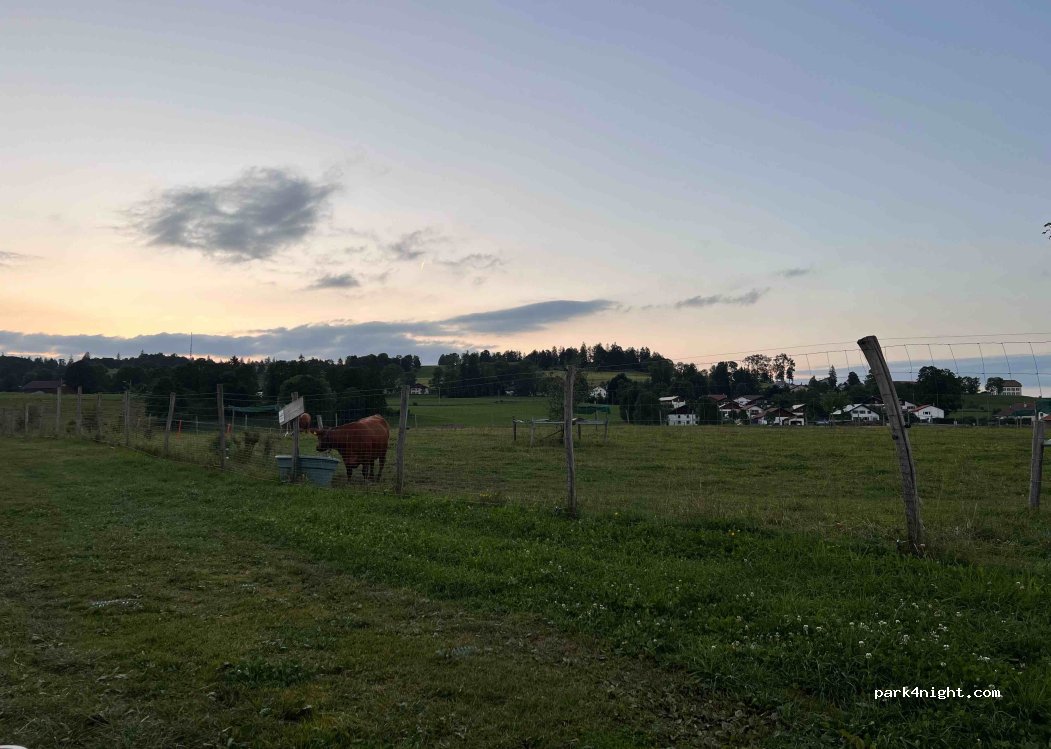 Ferme d'Evrasse — foto 4