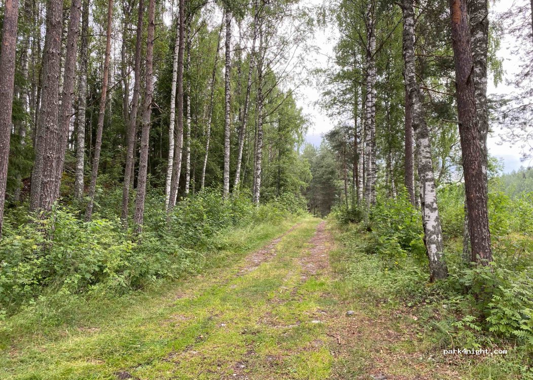 (881 94) Sollefteå - 227 FORSMOBY — foto