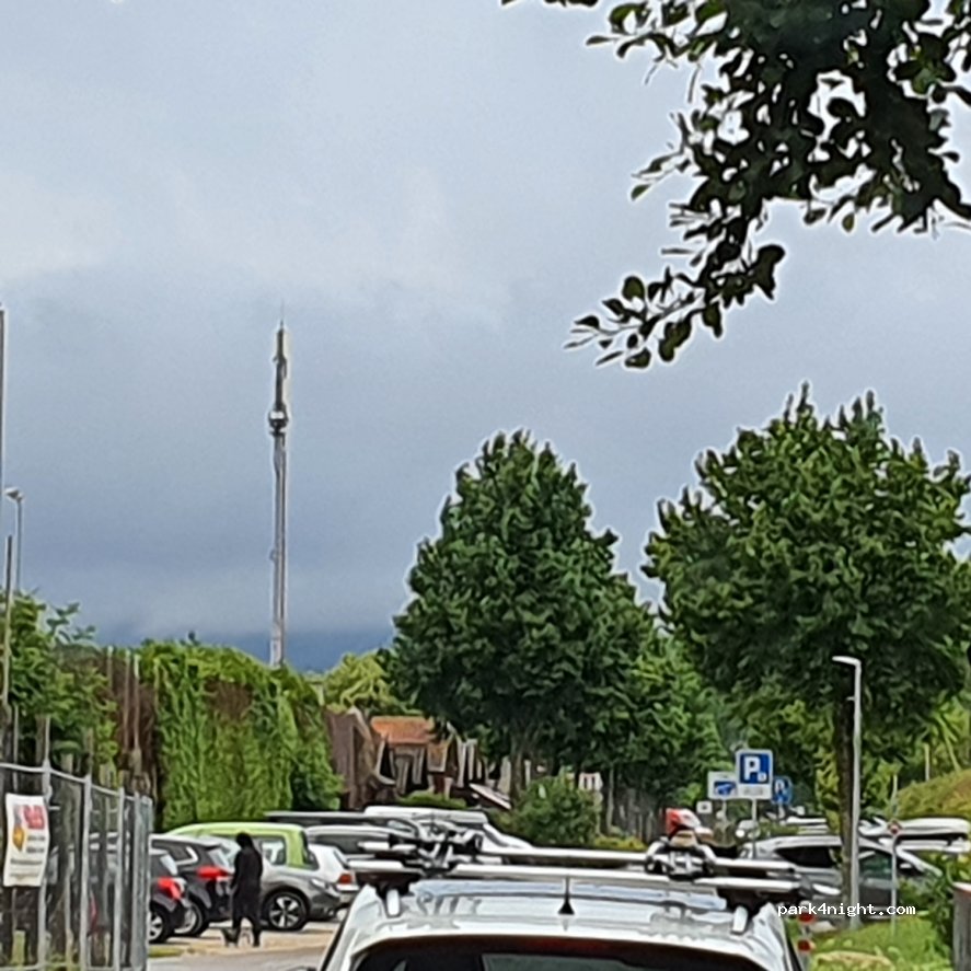 (1400) Yverdon-les-Bains - 76 Les Iris — foto