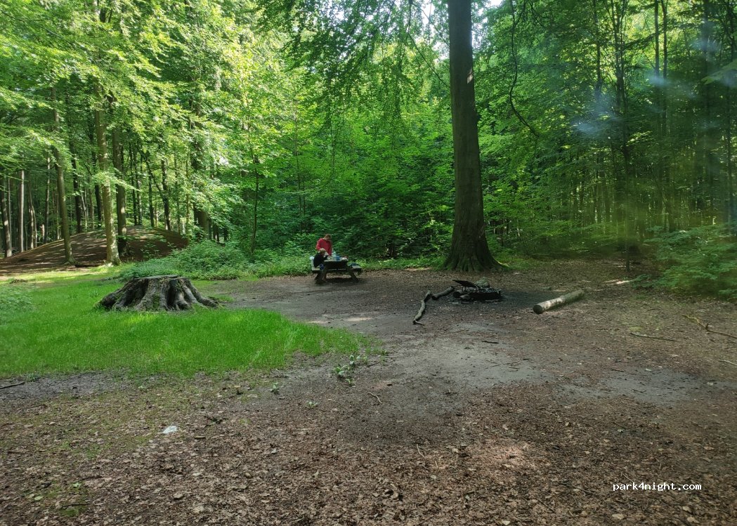 (2850) Nærum - Skovfogedvej — foto 3