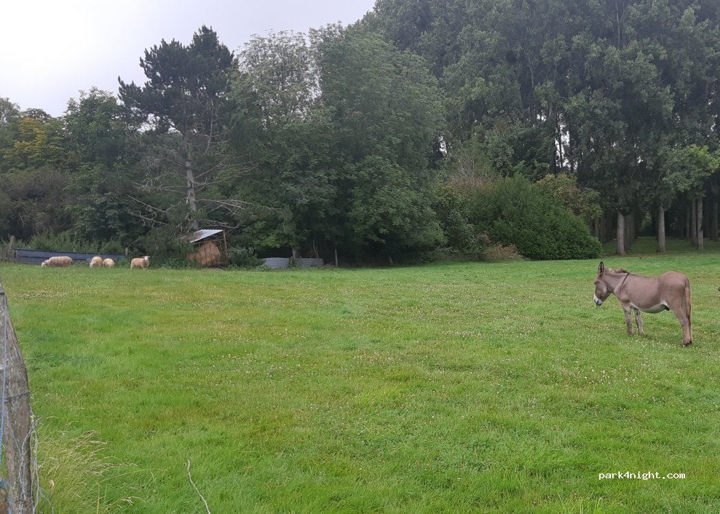 Camping De Secouray — foto