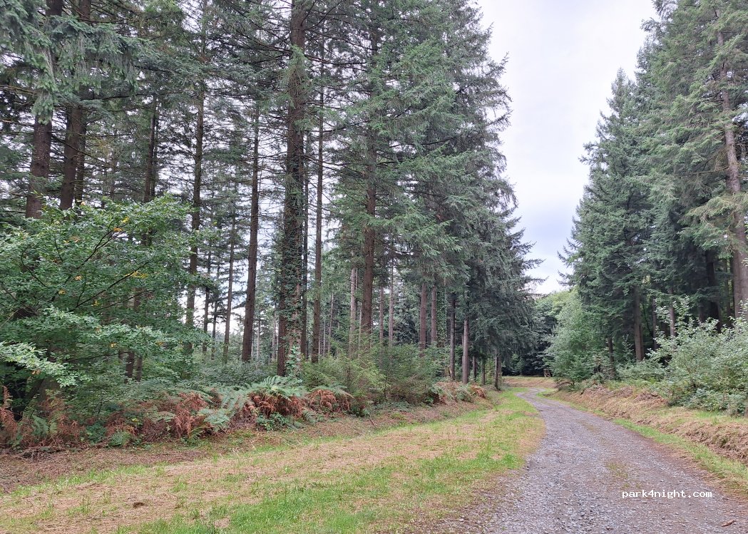 (71250) Cluny - Chemin des Dames — foto 5