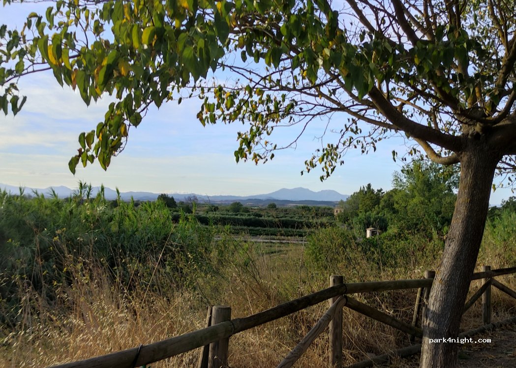 (31587) Mendavia - Unnamed Road — foto 4
