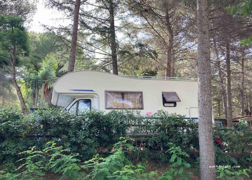 Camping Le Pianacce — foto 2