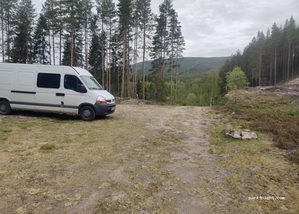 (2485) Rendalen - 22 Skogholet — foto