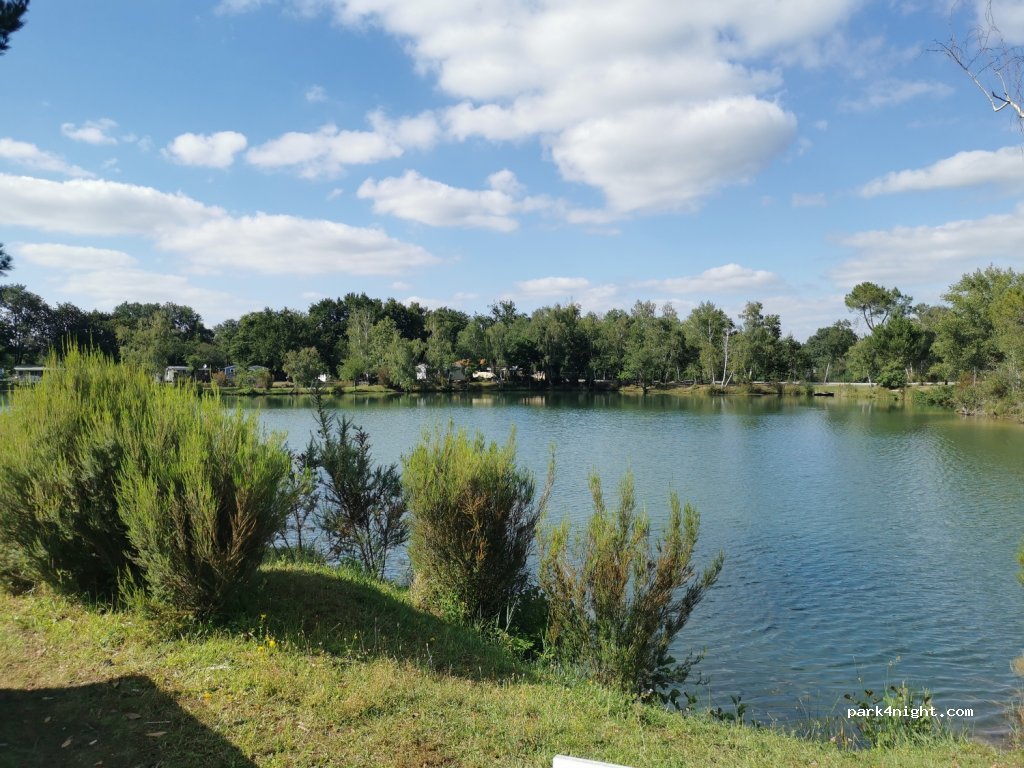 Flower Camping ponds mina — foto