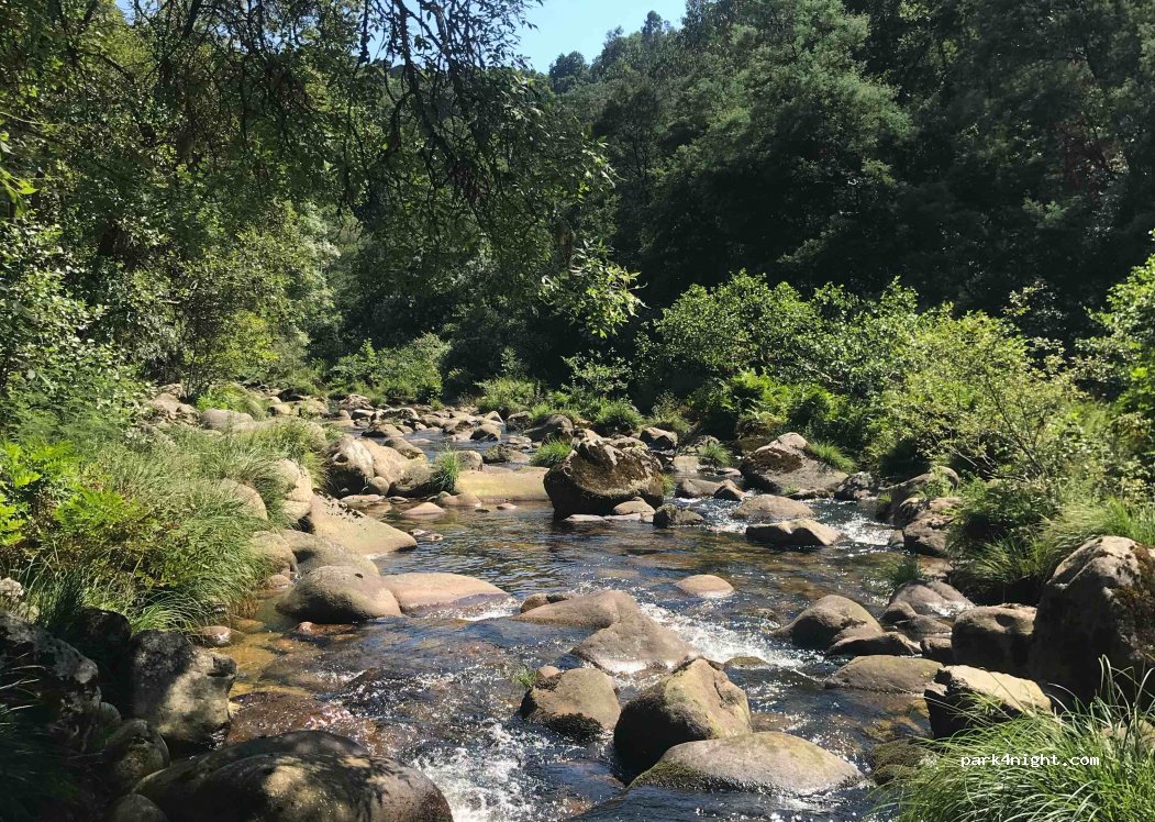 (36121) Cotobade - Unnamed Road — foto