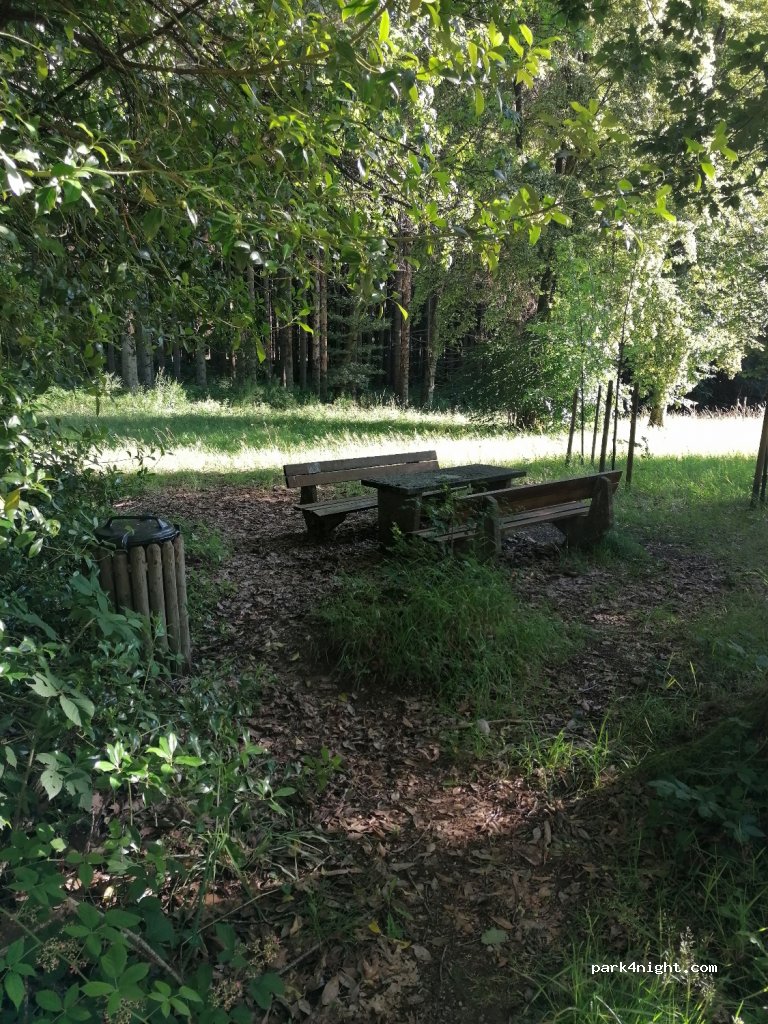 (54427) Kell am See - 1 Hochwaldstraße — foto 4