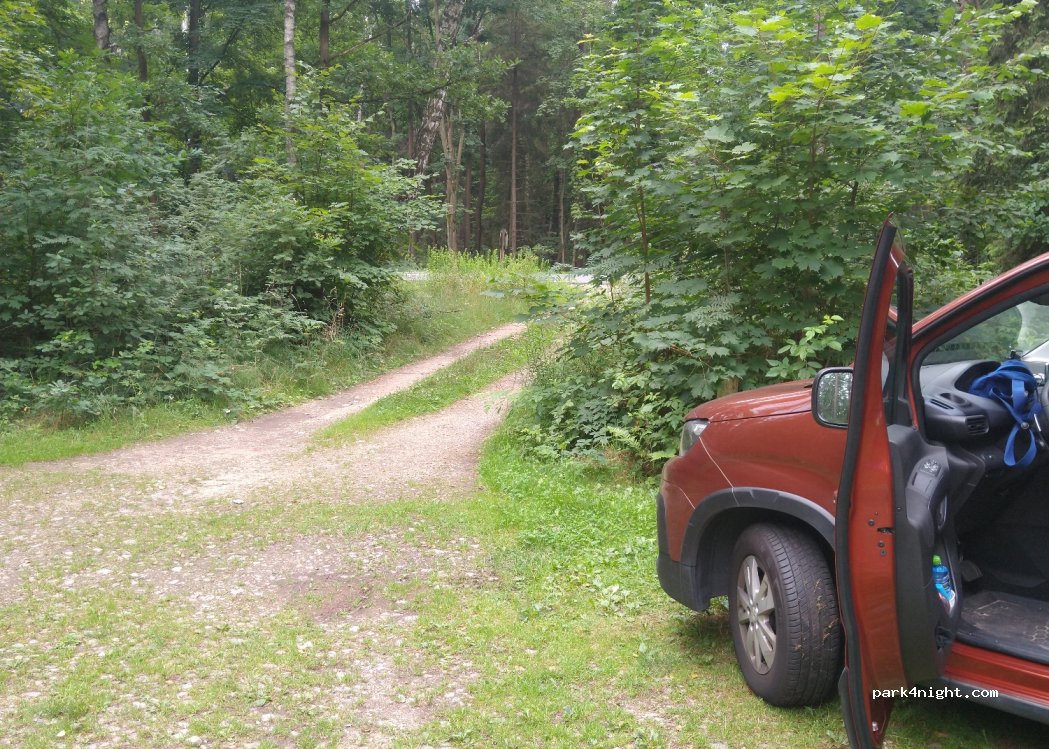 (42-289) Woźniki - — foto