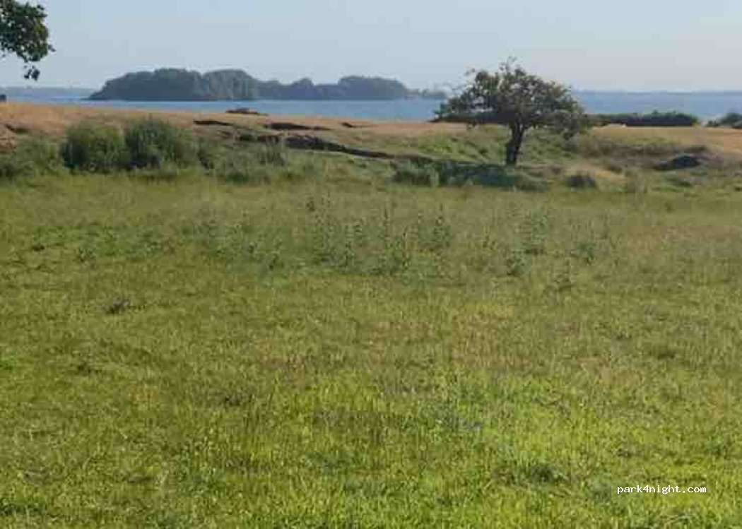 (6340) Kruså - 46 Kohagevej — foto 2