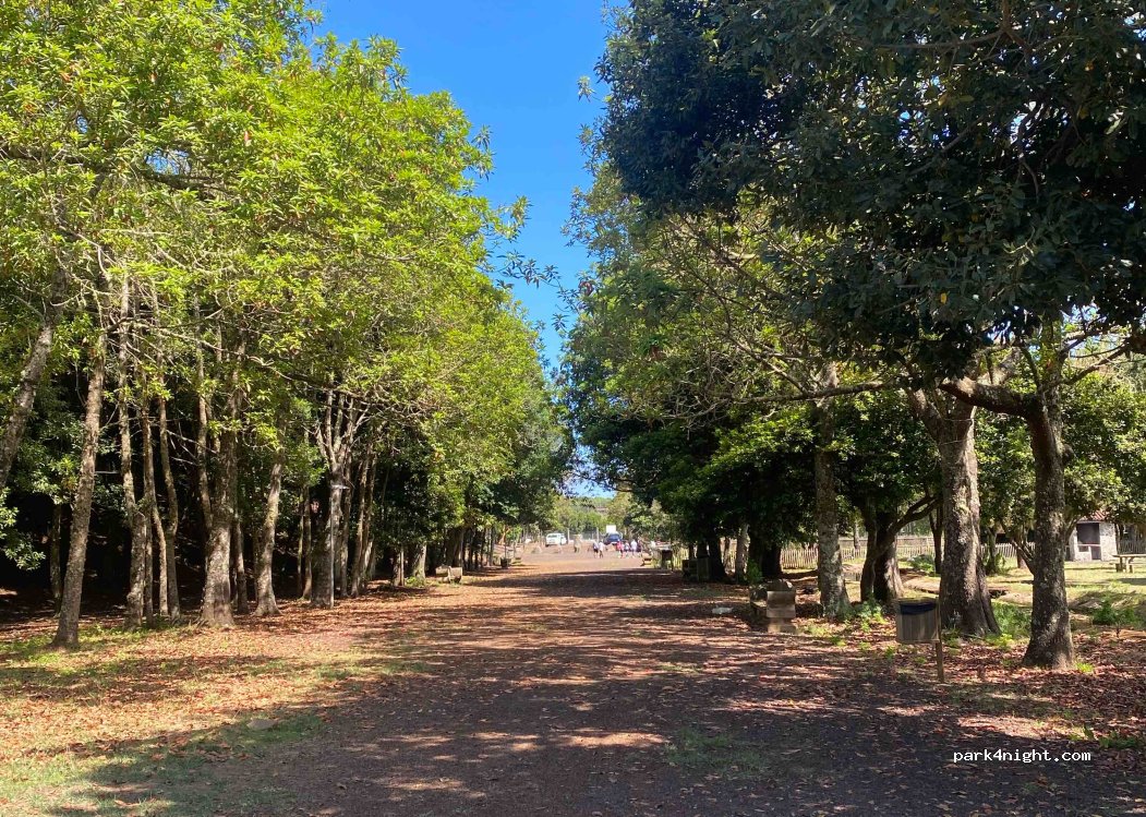 Laguna Camping — foto 4