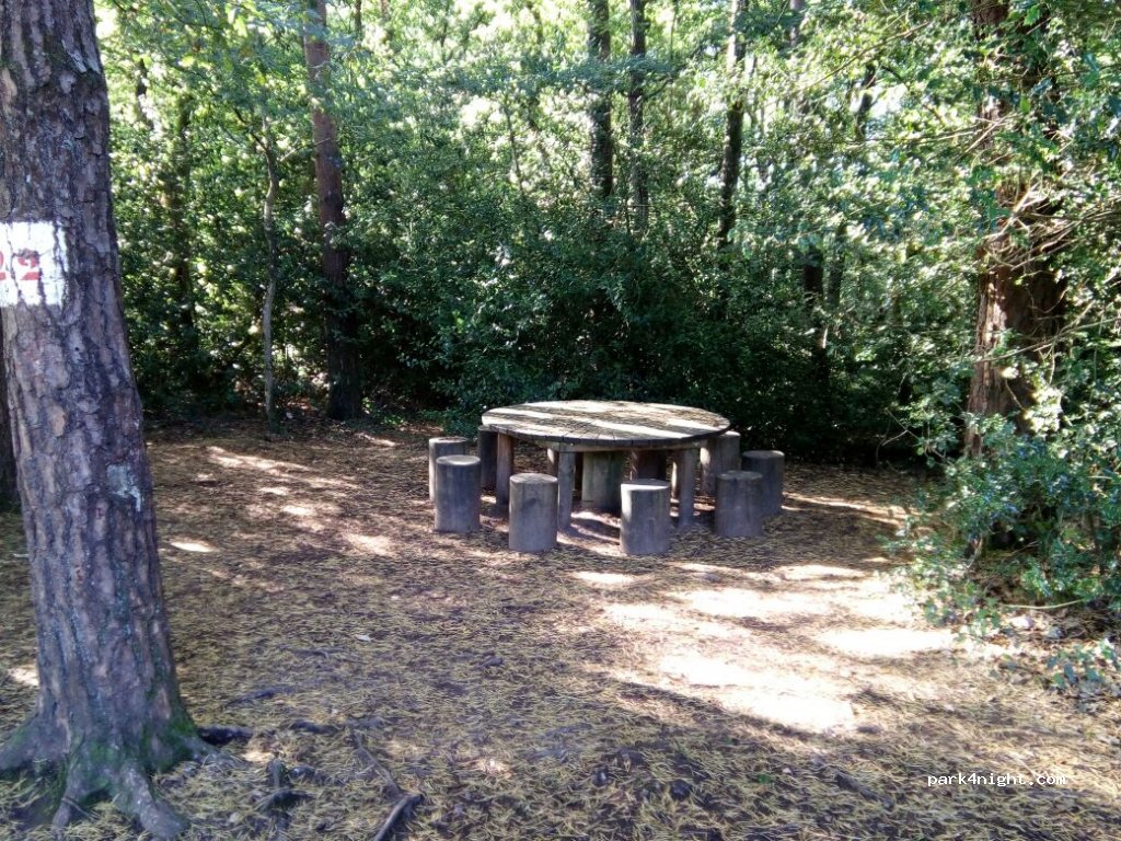 (35380) Paimpont - La Marette — foto 2