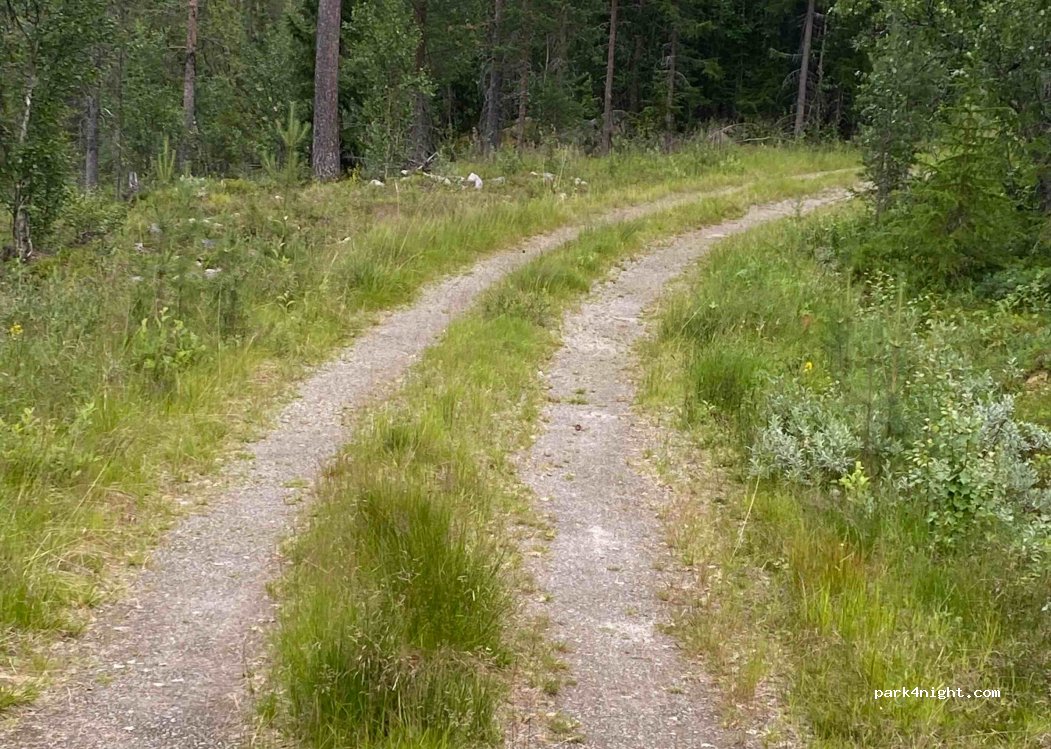 (2443) Drevsjø - Unnamed Road — foto