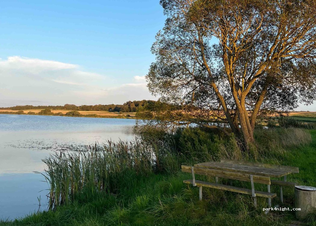 (8990) Fårup - 16 Glenstrup Søvej — foto 4