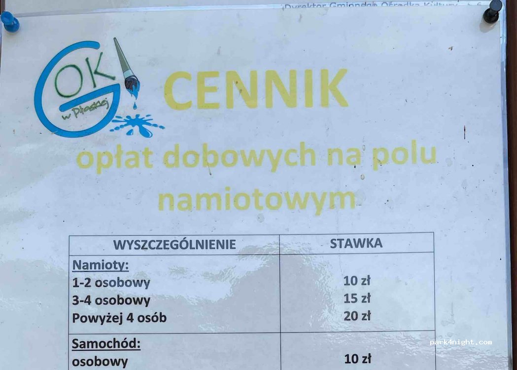 (16-326) Płaska - — foto 3