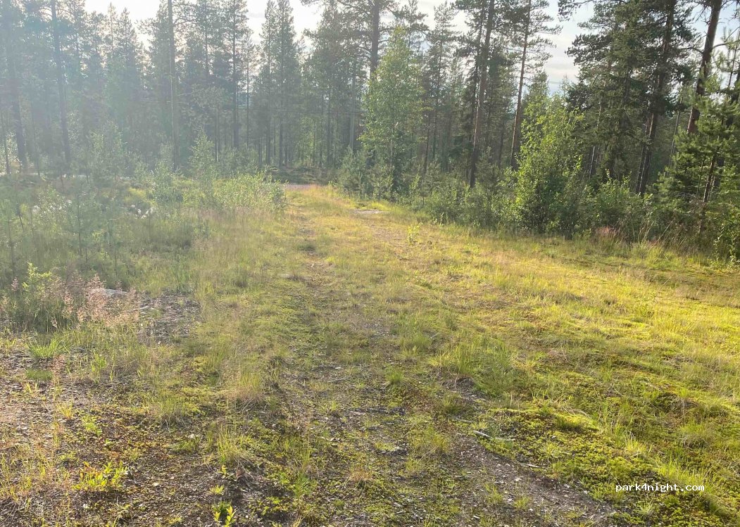 (2432) Trysil - Primær Fylkesveg 215 — foto