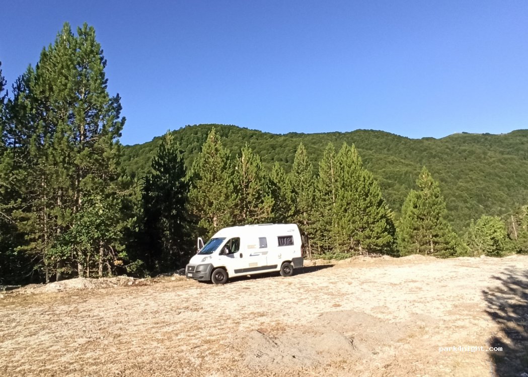 (42036) Amaranto - Γαρδικίου - Μουργκάνης — foto
