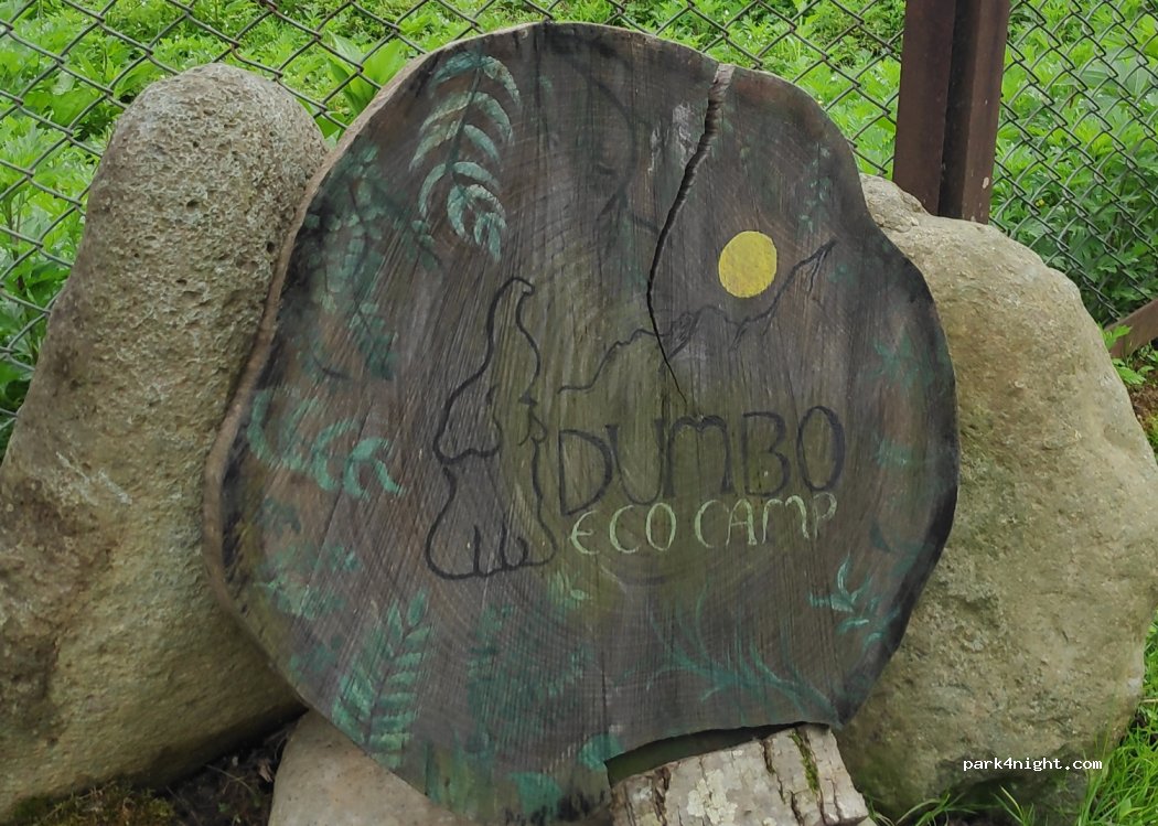 Dumbo Eco Camp — foto 3