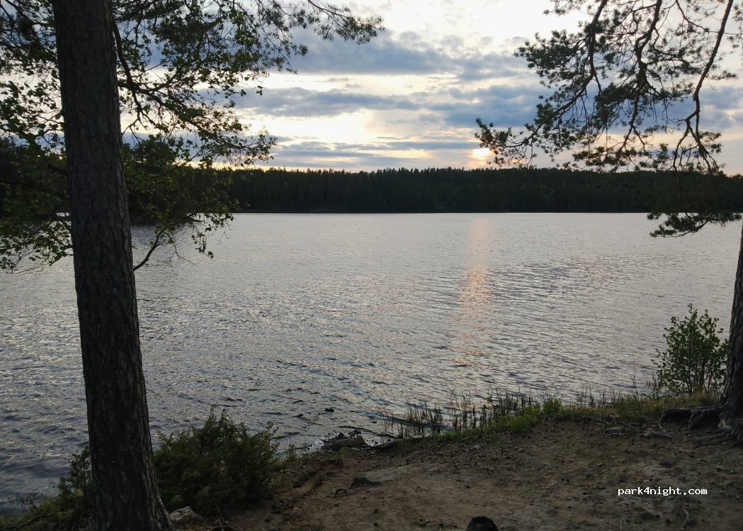(2224) Austmarka - Fjørsjøvegen — foto 2