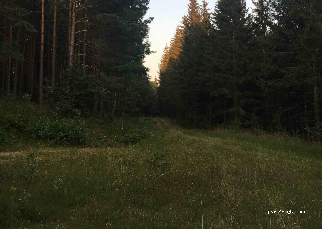 (590 78) Ljungsbro - Unnamed Road — foto