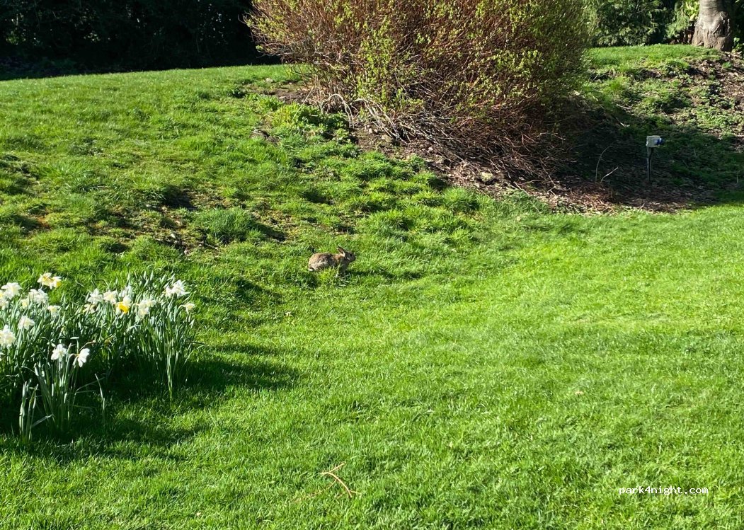 Highburn House Caravan Park — foto